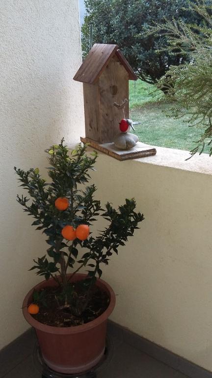 B&B Il Vigneto Мелано Екстер'єр фото